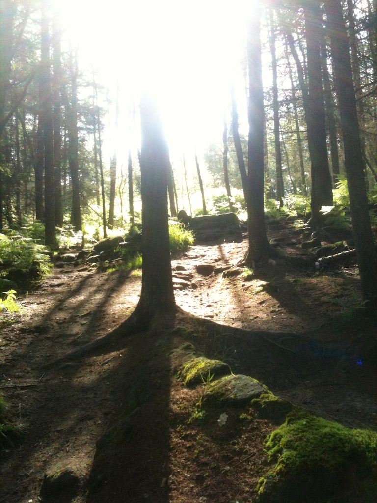 Start of black  run better pic