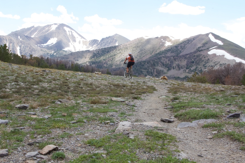 Lemhi Mountains and Big Timber Creek Trial