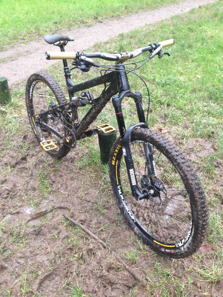 Gavs Bnashee Rune after a muddy day at Bacton and Pretty Corner.