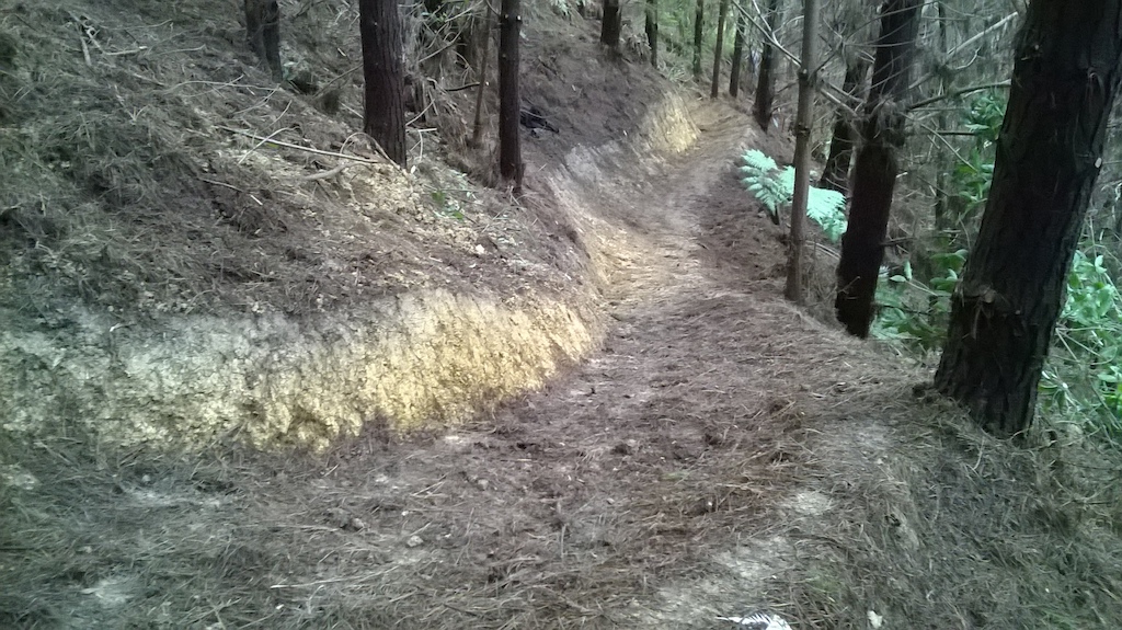 Mid trail, dropping turns section