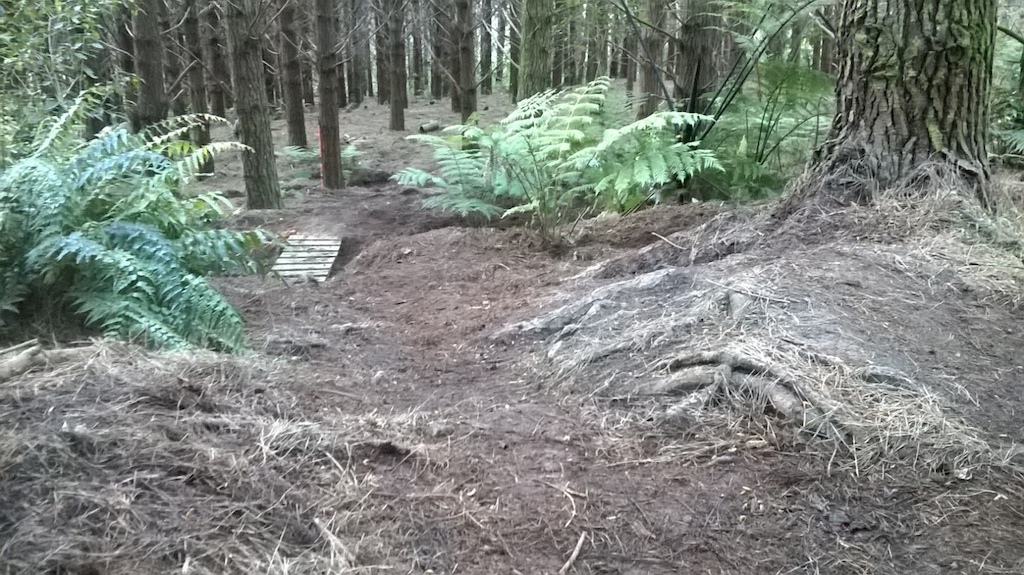 Tweaked a section, removed an old jump, turned it into a bridge across some bog, cleaned up the roots. mint techy section now.