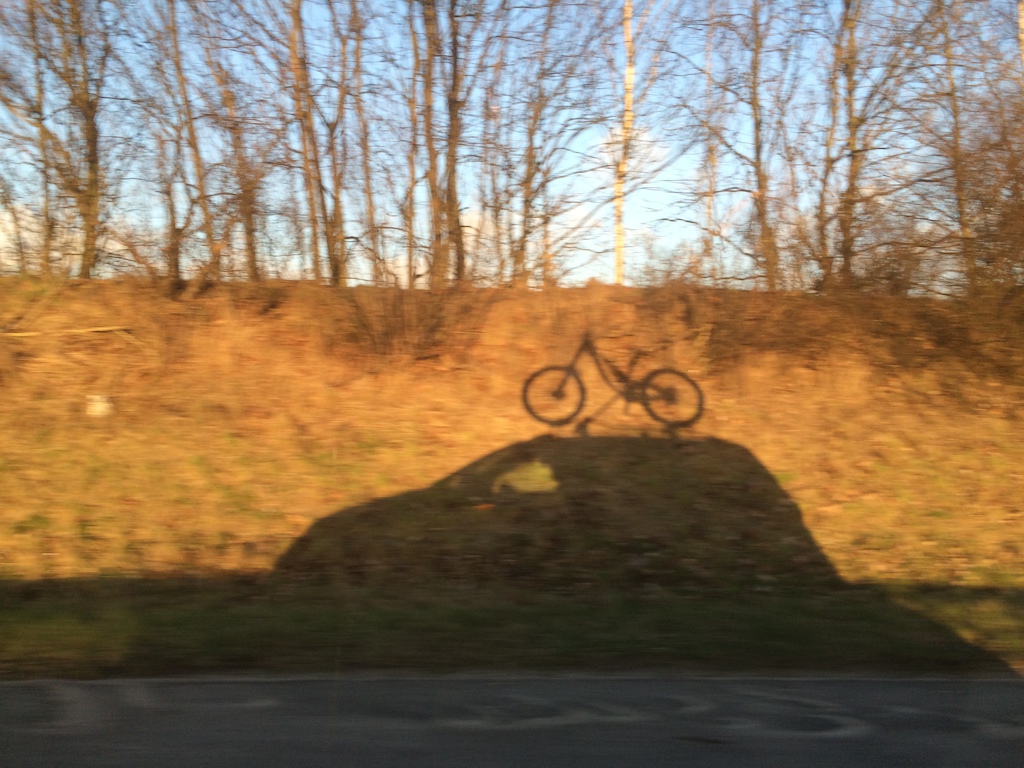 Shadow Wilson