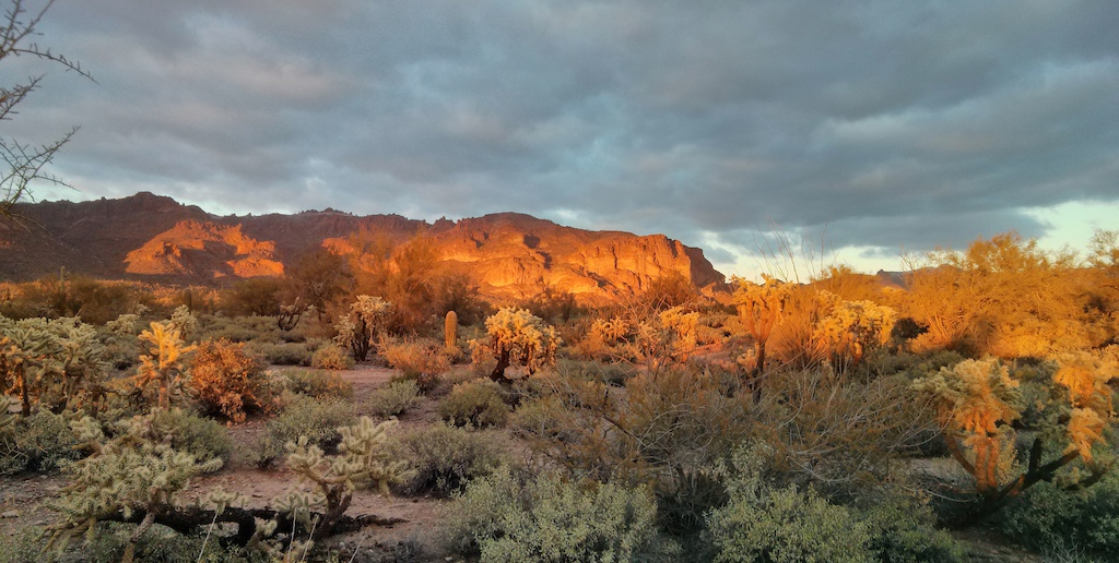 The Superstition mountains serve as a picturesque backdrop to the Gold Canyon trails.