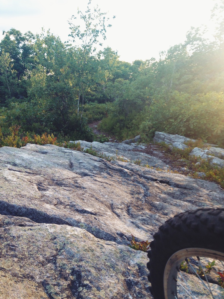 Huge rock feature on Bruised Ego, Eales Preserve at Moosic Mountain. That's the trail.