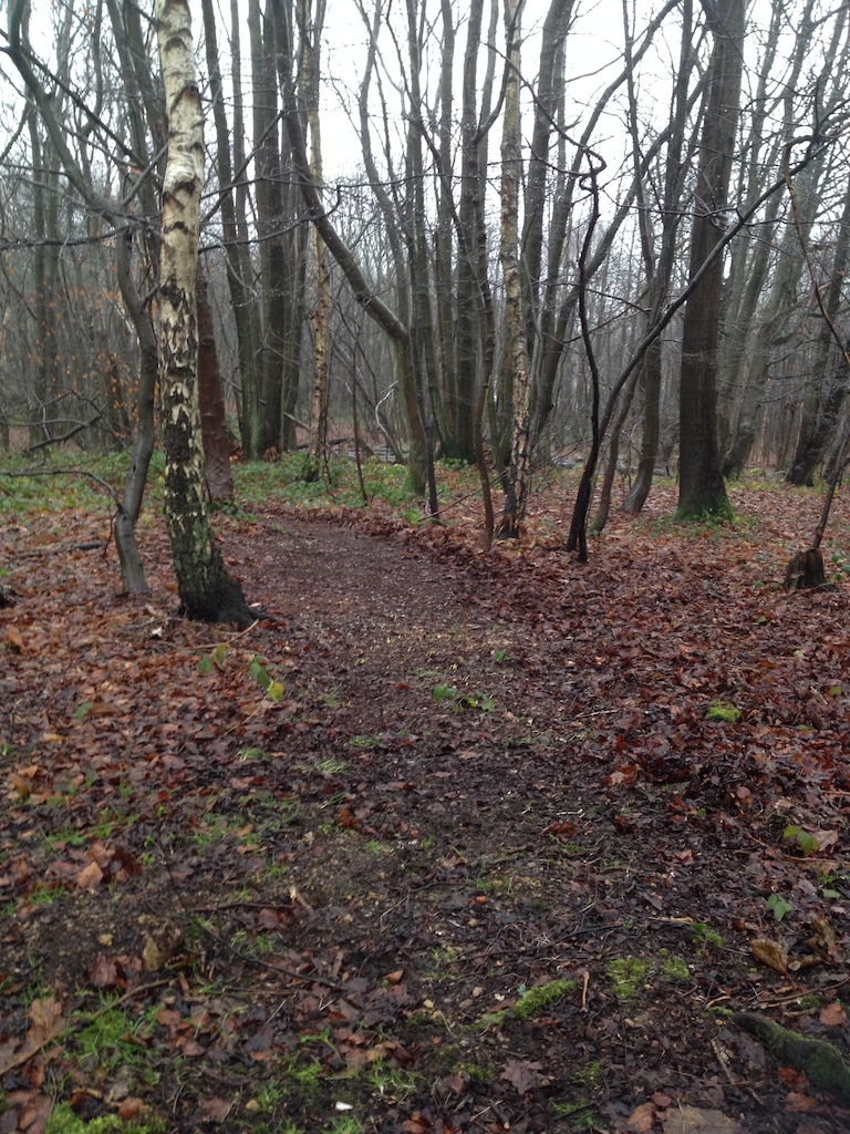 new trail with some jumps, berms, drops and flow. ending at Holly Hill car park