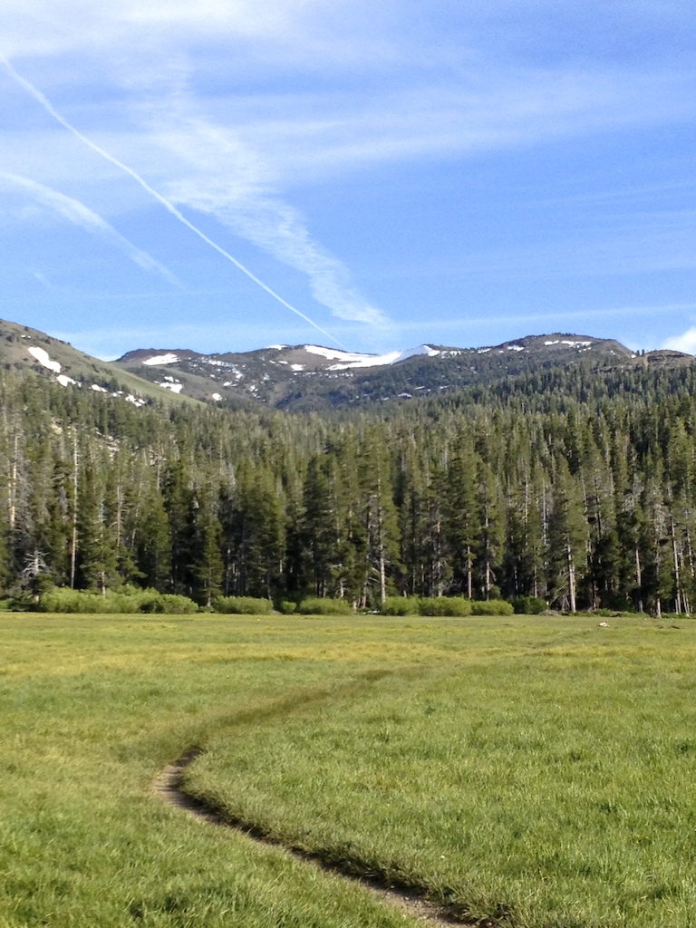TRT Big Meadow to Christmas Valley Trail