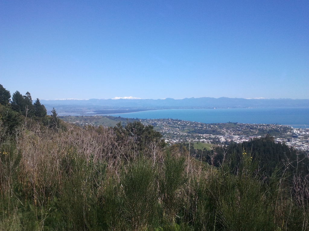 Top of Firball. Looking down on Nelson and Tasman Bay.