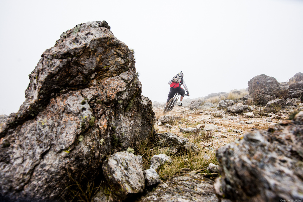 Railing through the rock garden in the mist.