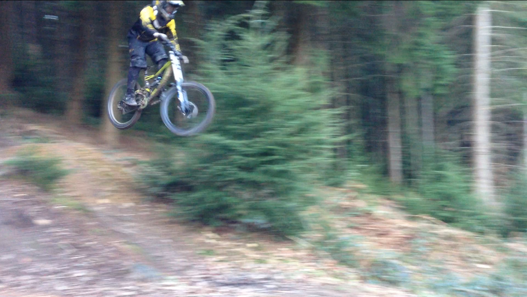 gap jump out the forest