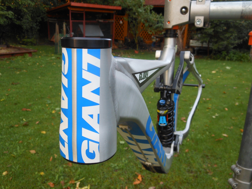 2010 Giant Glory