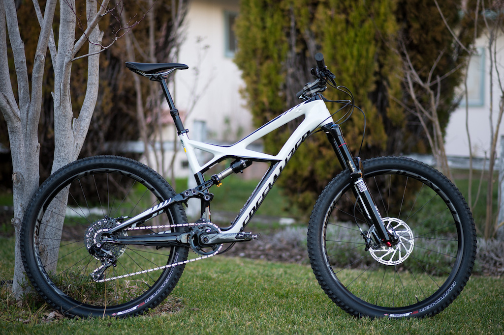 Meet Snowball.

Specialized Enduro Expert 650b

Big thanks to Trail Head Cyclery!