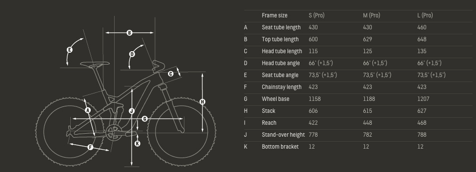 Canyon strive cf 9.0 hot sale 2015