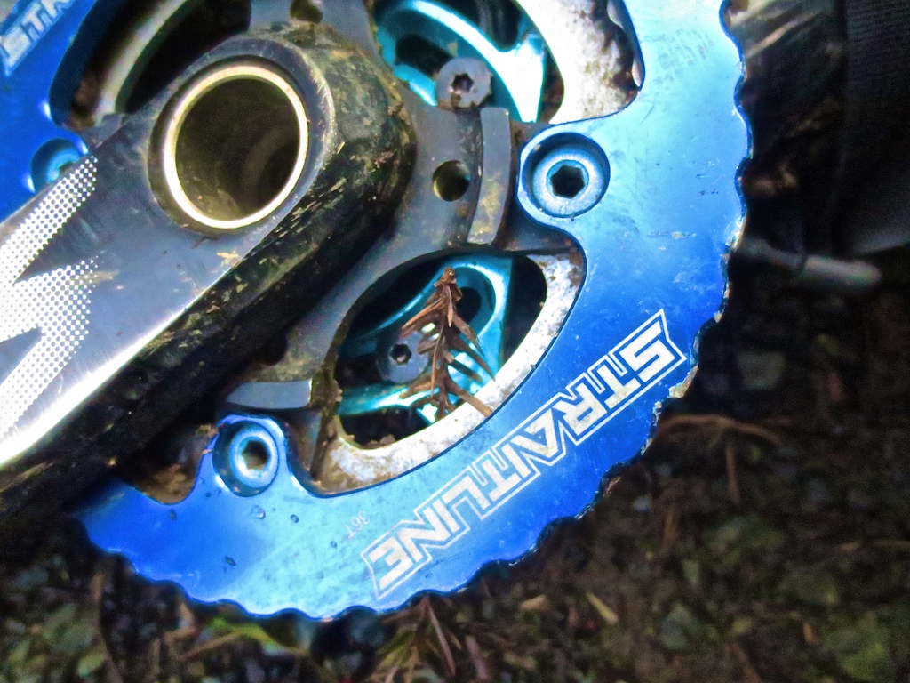 These cranks and bashguard have now been on 4 bikes! Going strong year after year!