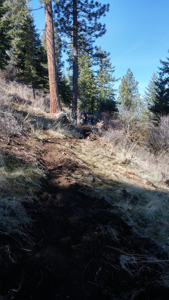 Building trail on Moore Mountain