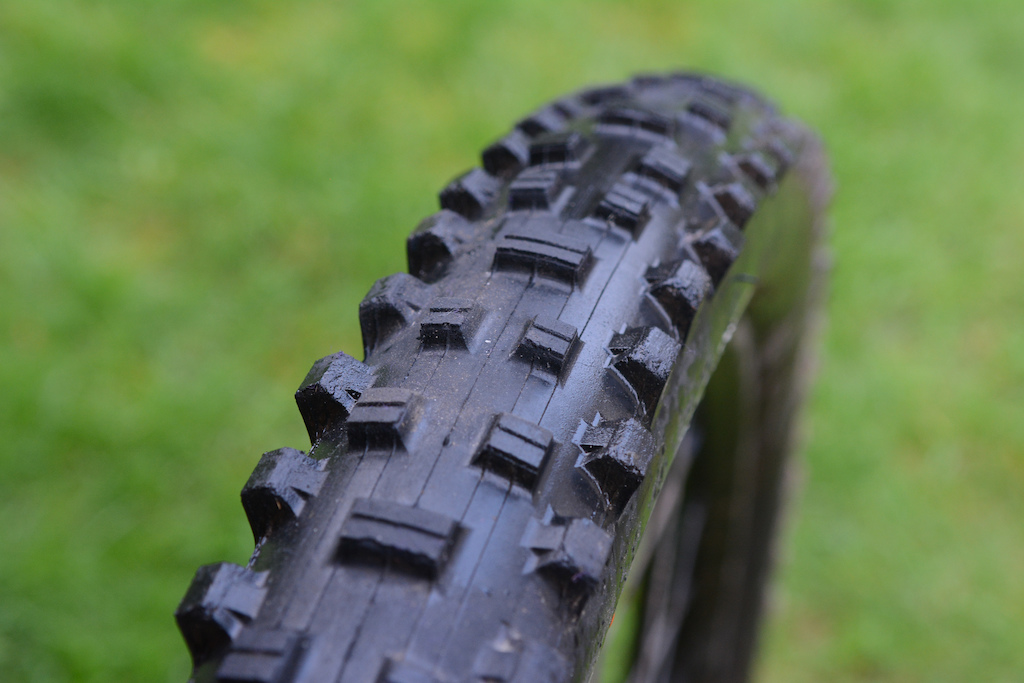 Maxxis Shorty review