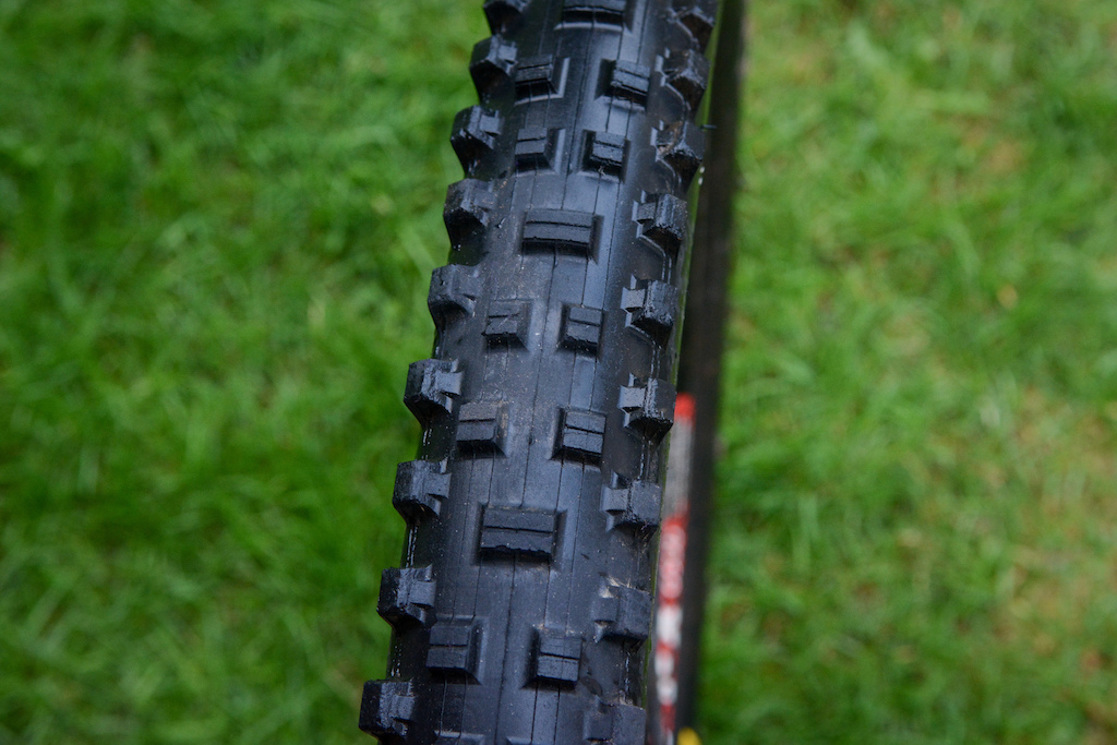 Maxxis Shorty review