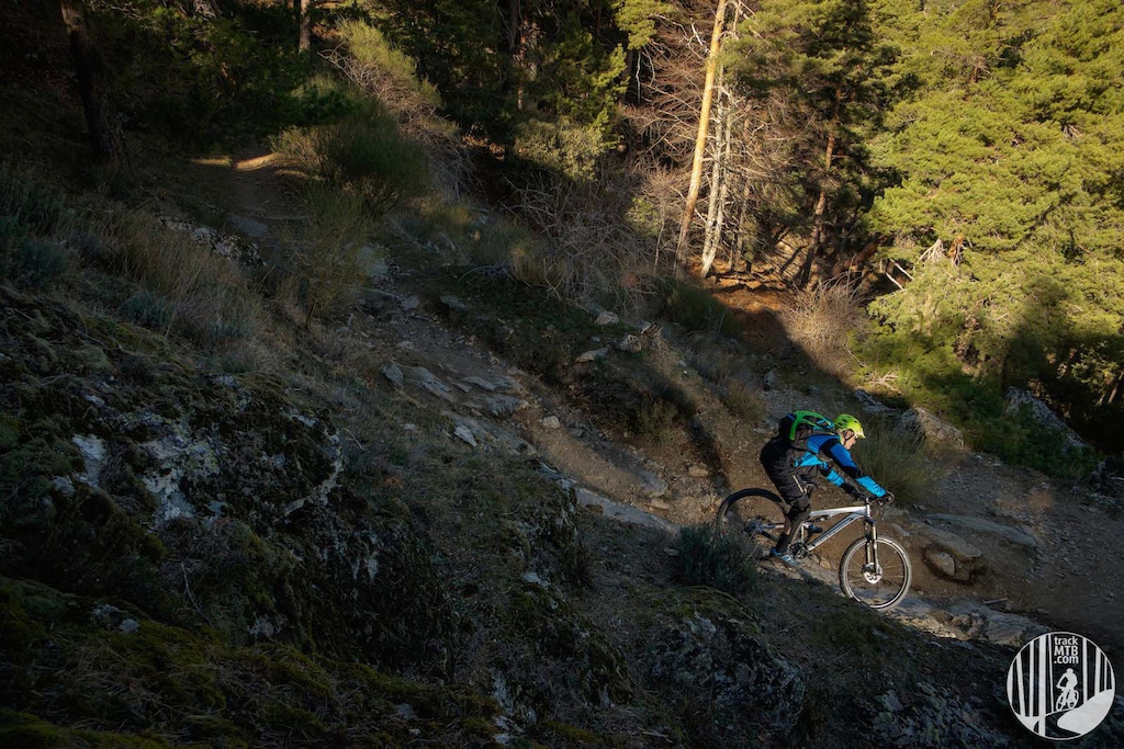 Mountain Biking dream trails less than one hour driving from the big city.