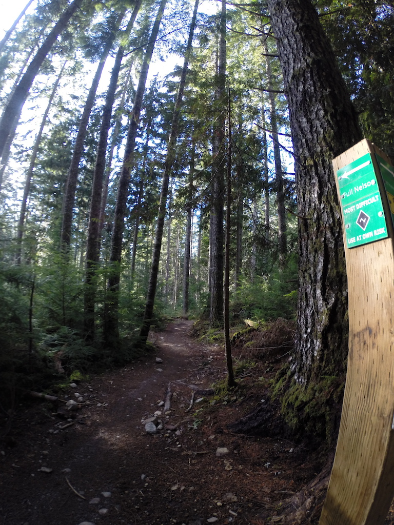 Go Pro Pic on the beginning  of Full Nelson, trail built for Strength Numbers