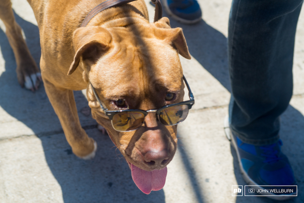This guy was a little near sighted and the polarized lenses help in for the reflections off the white concrete.