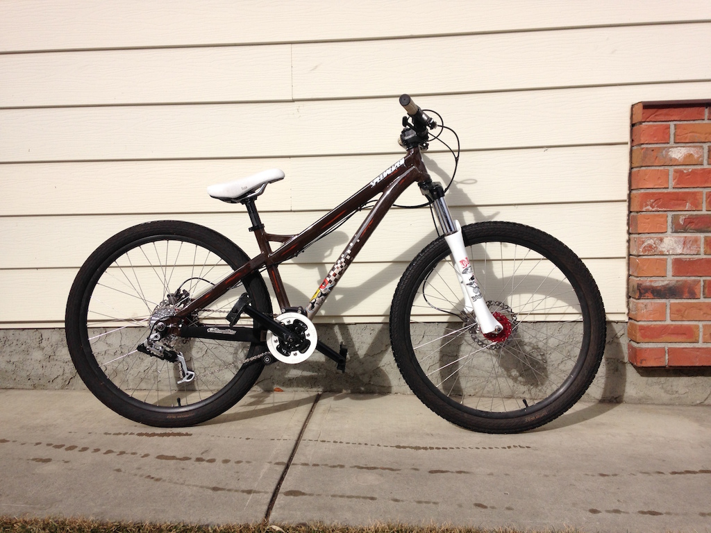 2008 CLEAN Specialized P2