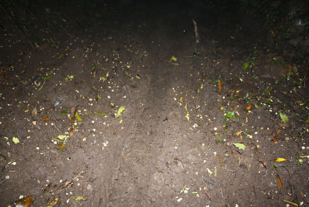 Motor bikes on the lower section of the trail, ruts are at least 20 cm deep .