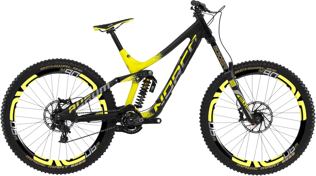 Norco aurum price sale