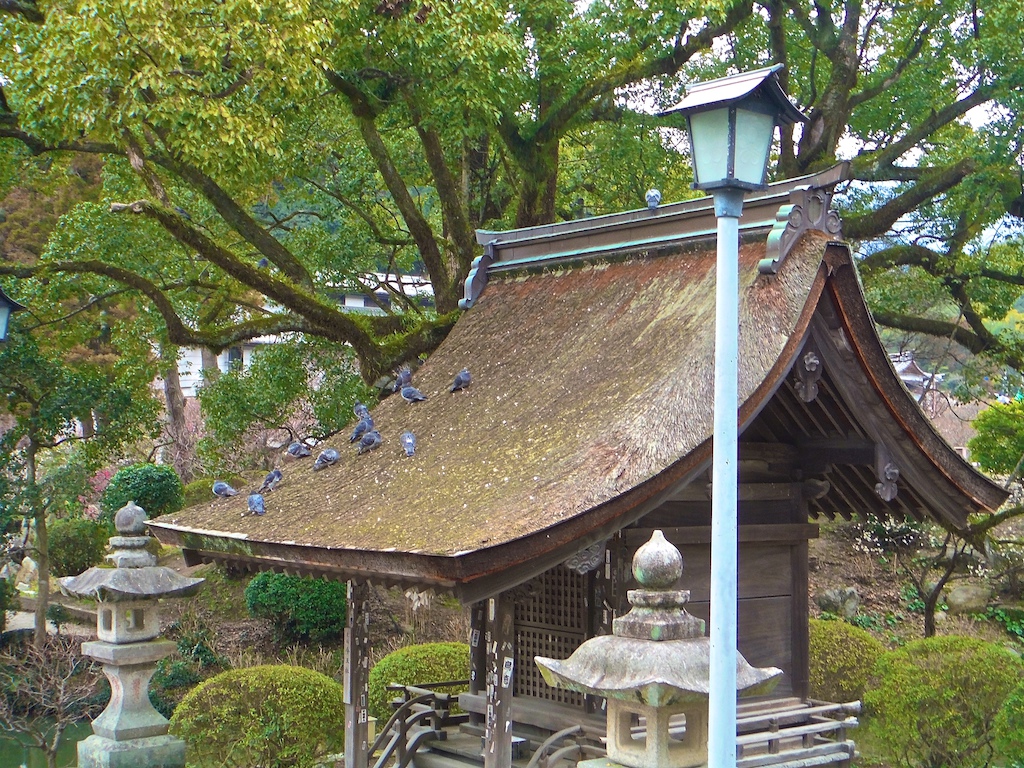 Shinto Shrine in its lasting beauty!
