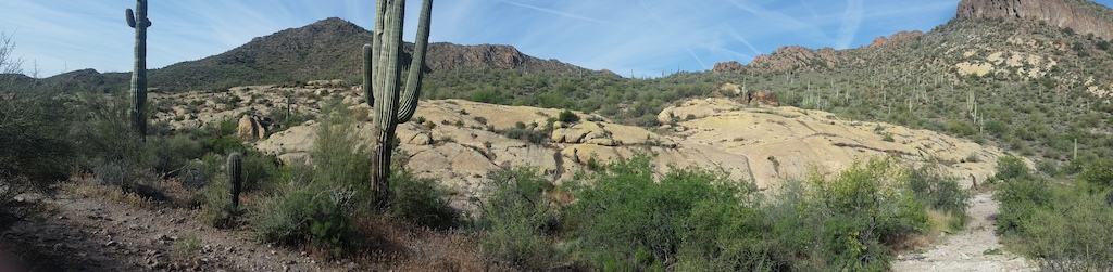 Photo of The Rock freeride area.