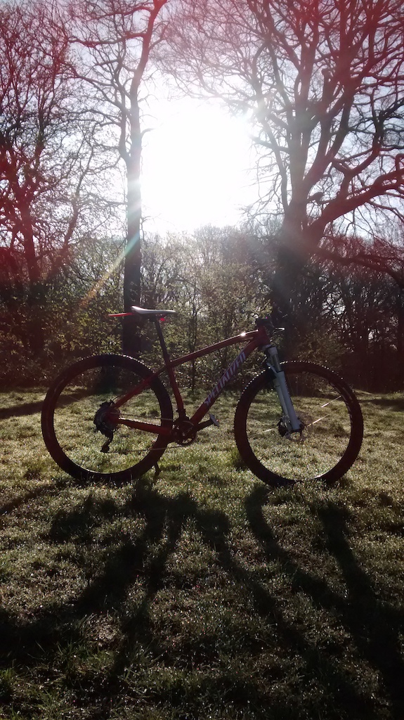 Spring has sprung! 

early ride on 'the Heath in glorious weather