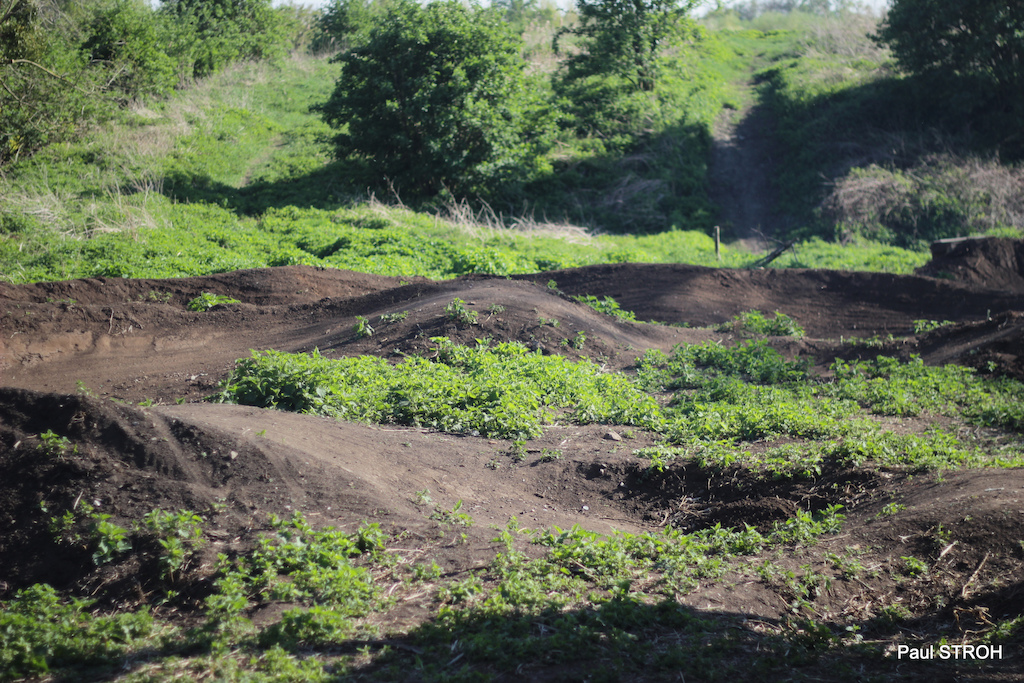 Part of the Selzi Trail's pump track