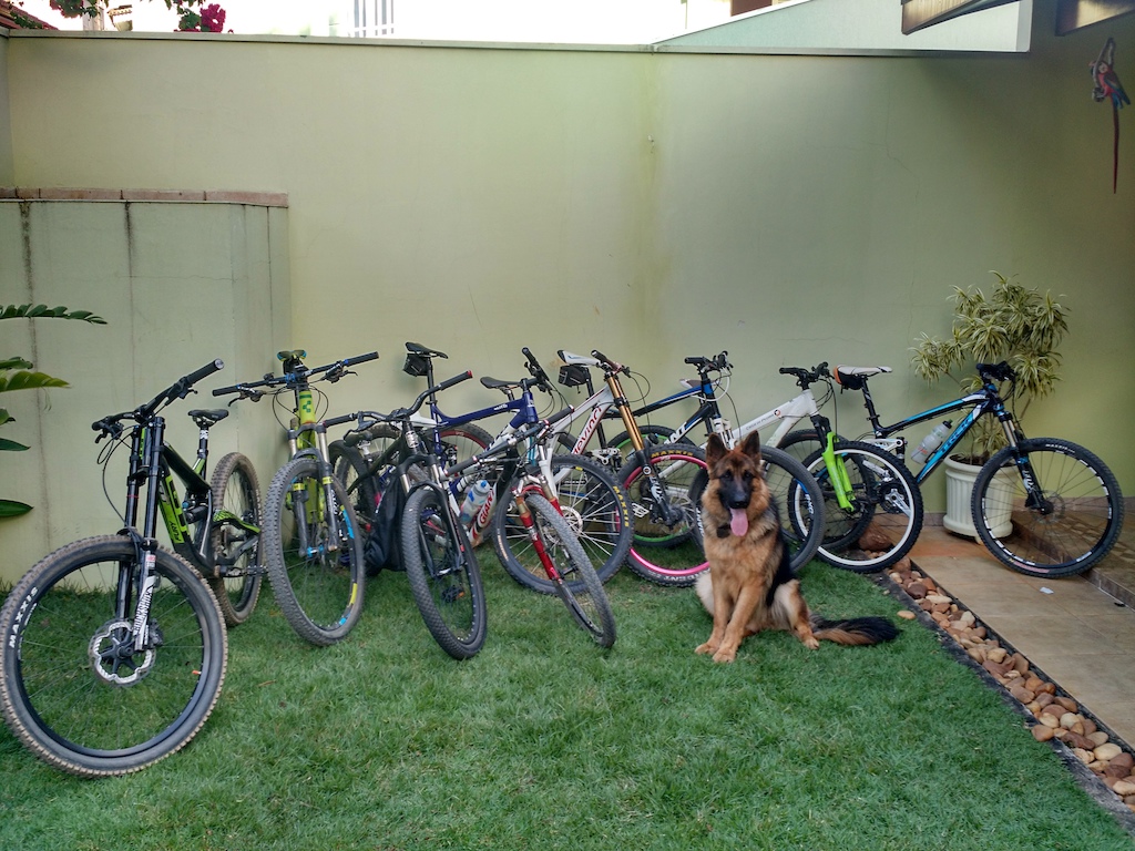 Our plethora of bikes and the dog!
