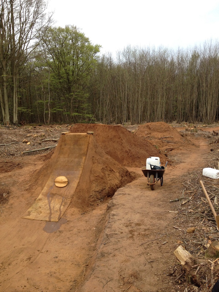 trail rebuild after tree felling