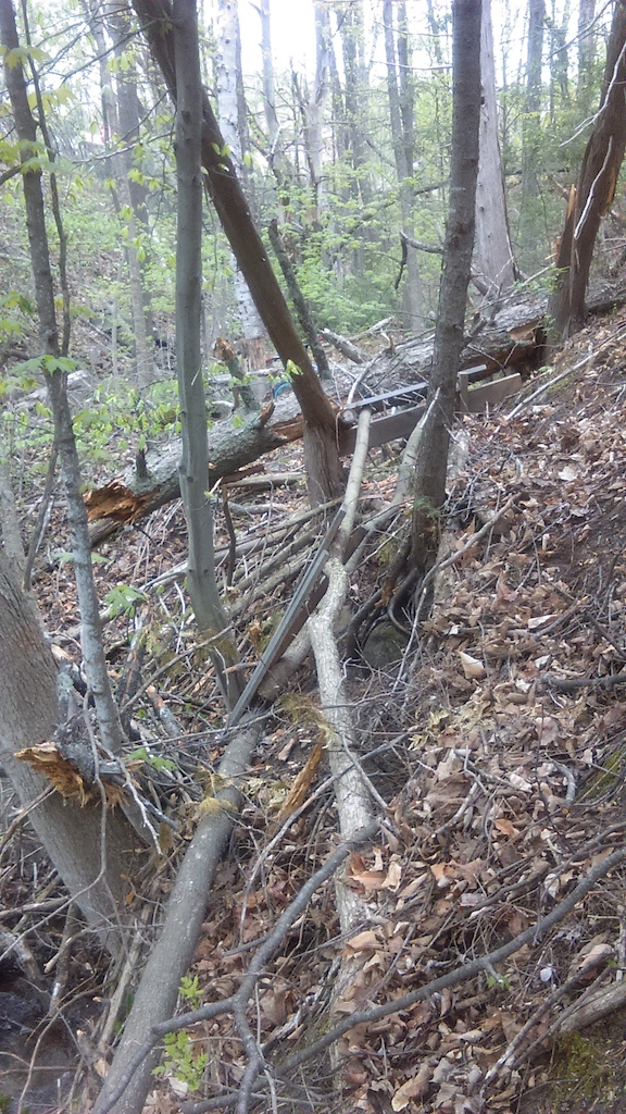 Well, this was a trail in progress, then a decent-sized tree fell on it