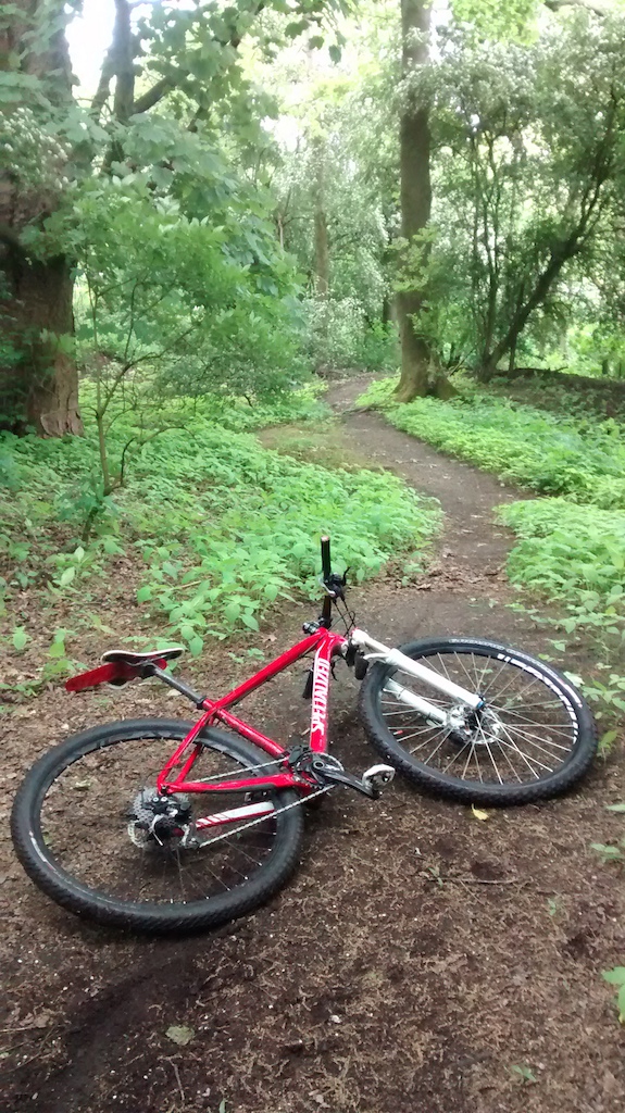May 18th 2015 - cold and wet - perfect weather for mountain biking on my local trails

Taking a quick break during an early morning ride