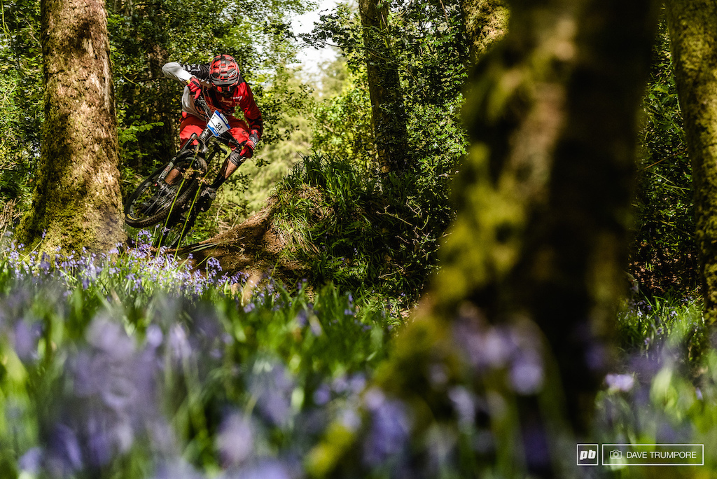 Constant moisture  means the Blue Bells are in full bloom as Iago Garay scrubs his way through the lower woods on Stage 4.