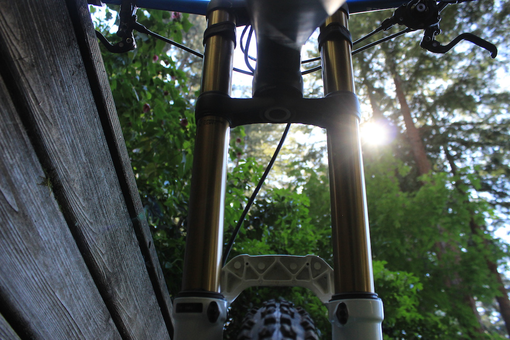 2013 13 Devinci Wilson XP