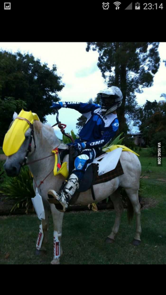 A whole new meaning to the term horse power lol
