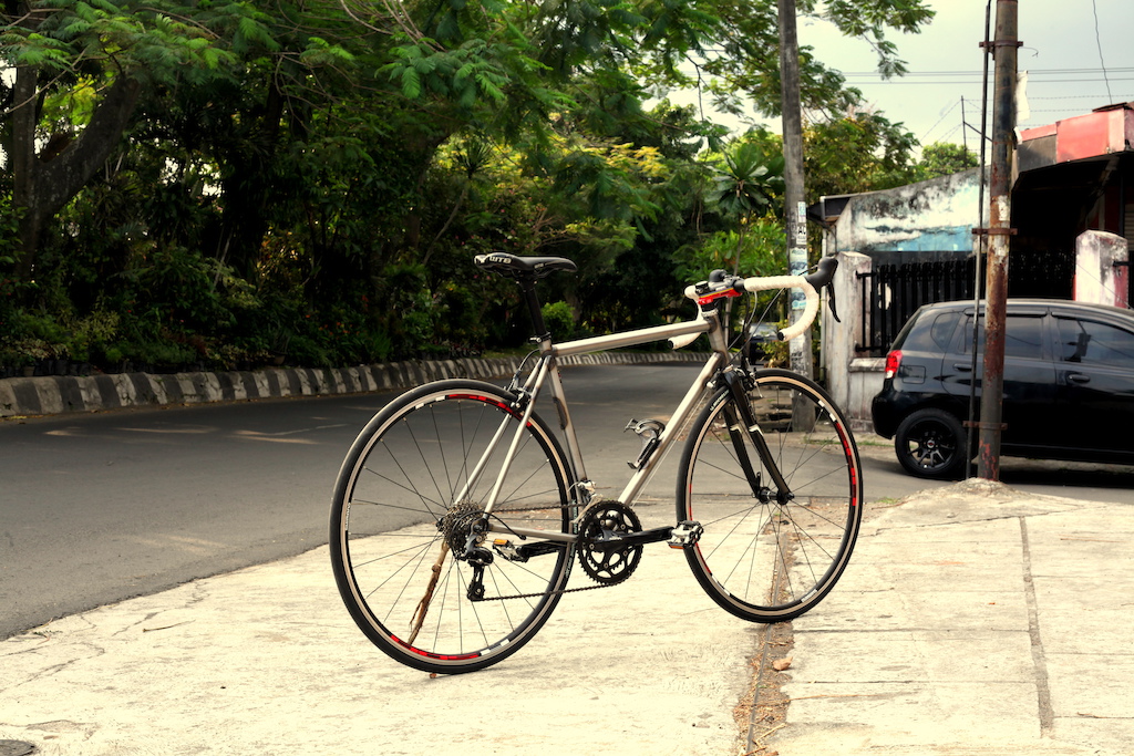 roadbikes custom frame. 100%handmade in malang.material crmo reynolds520 doublebuttd.