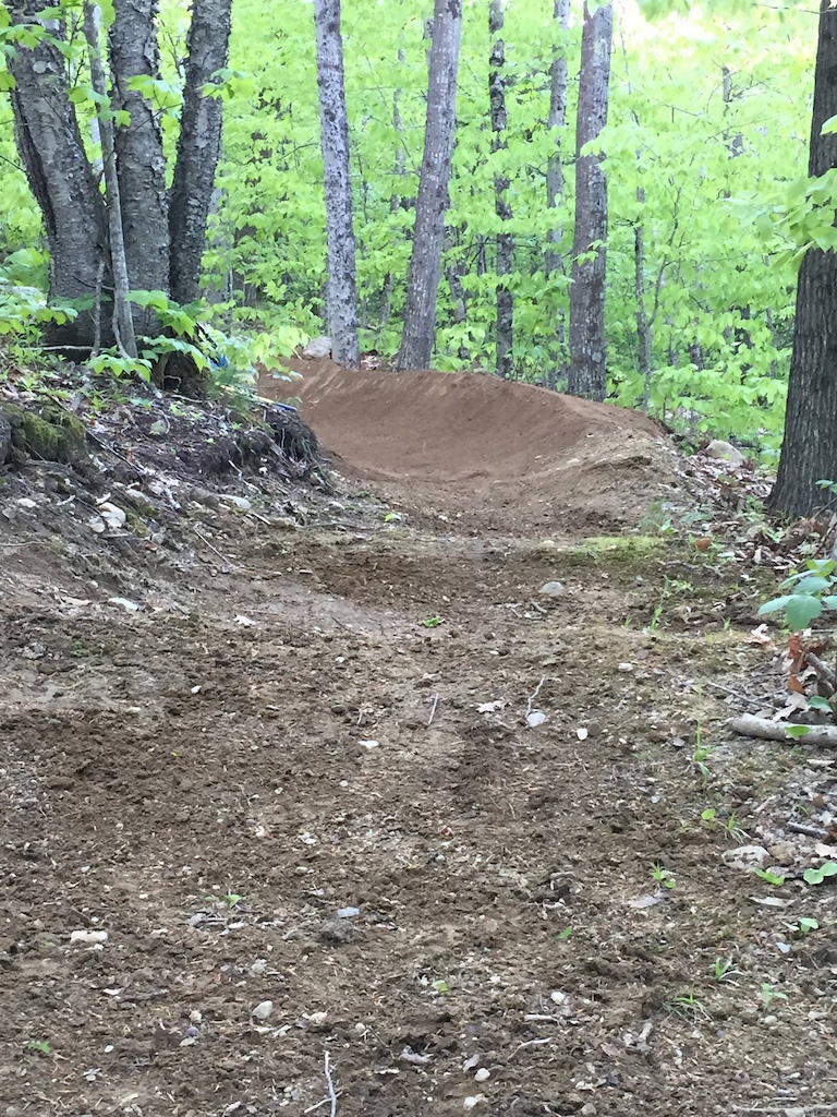 Berm exit into a couple rollers. All raked out and ready to ride!