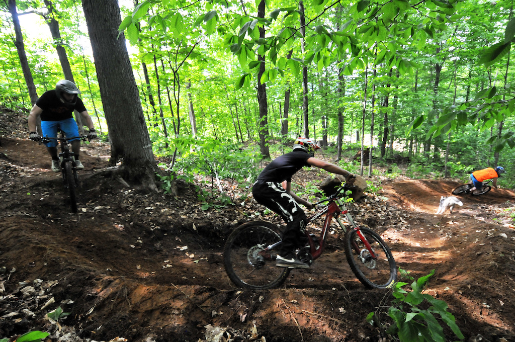 Switchbacks, Simple Pleasures mid section