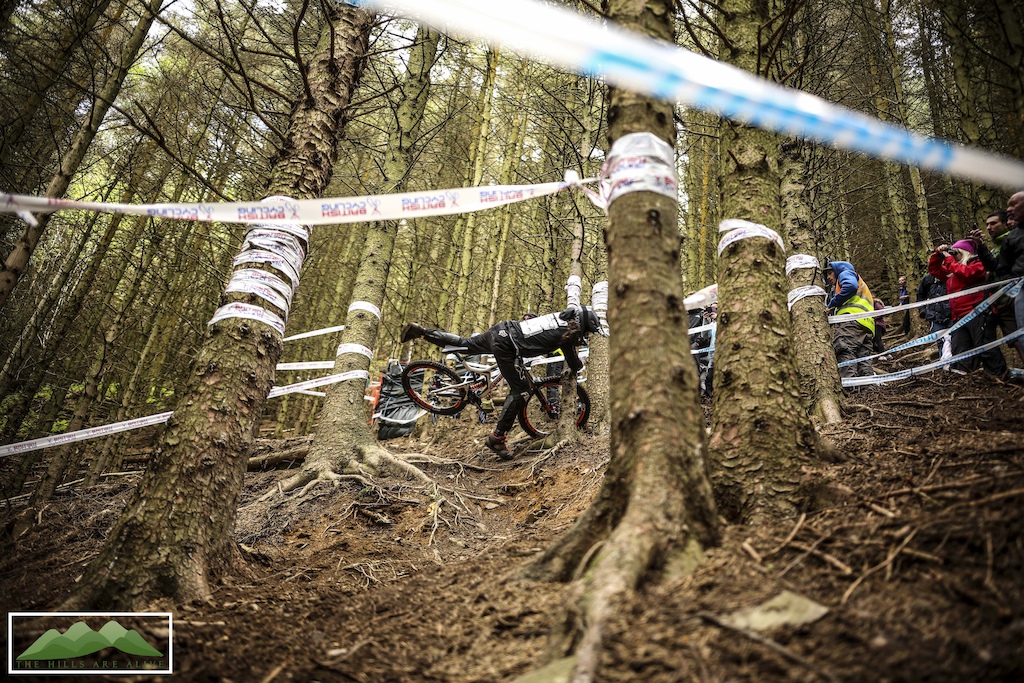 Josh Bryceland getting caught up in a tree during seeding. Round 2 BDS Llangollen. All rights reserved to The Hills Are Alive www.thehillsarealive.org.uk Race Day
