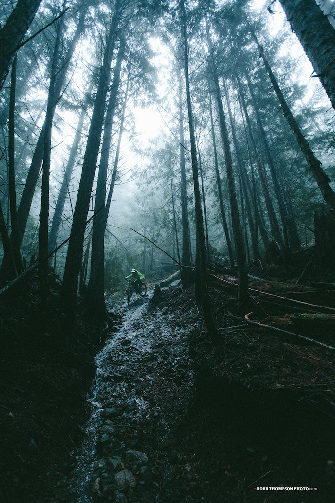 A wet, dark and cold day in the Squamish rainforest.