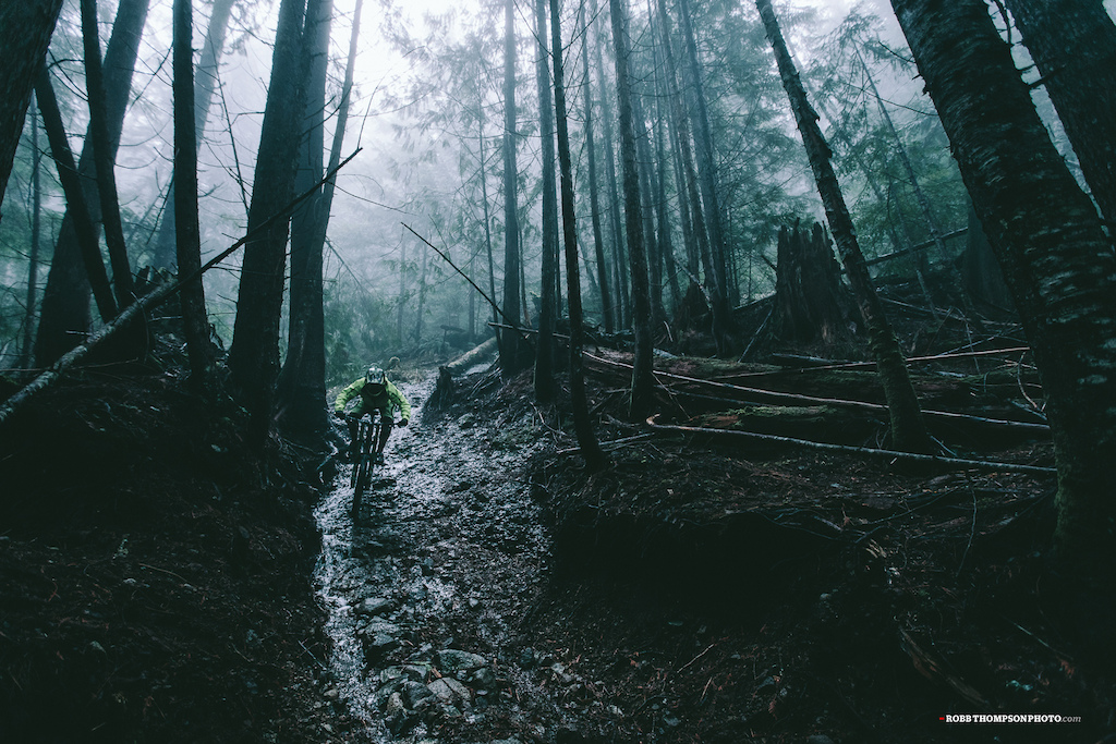A wet, dark and cold day in the Squamish rainforest.