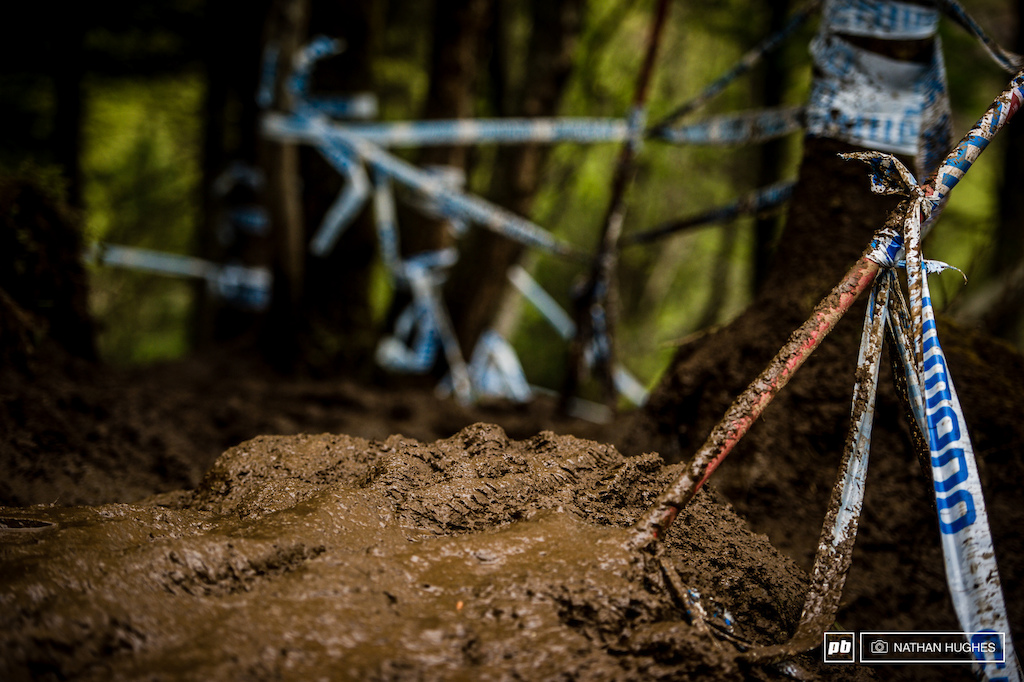Fort William 2015... a portrait. These dark sodden woods were where this race was won and lost.