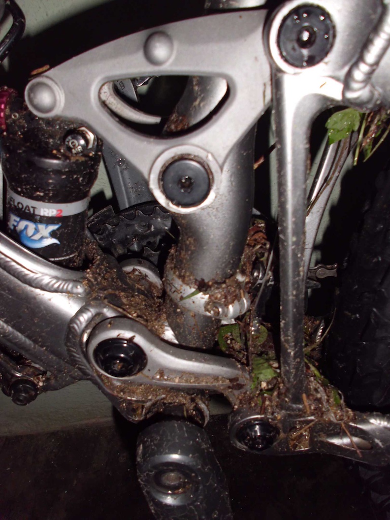 First day of hard rains riding on our own bike park june 6-2015. It was really fun and way to crazy finding how different the trail was under the rain. Here is how all parts of plants ended on the bikes.