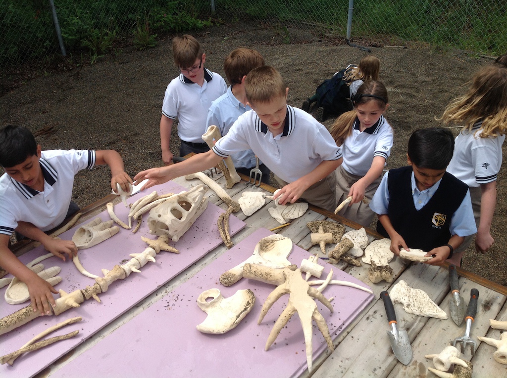 These kids made the bones, so they find the bones.