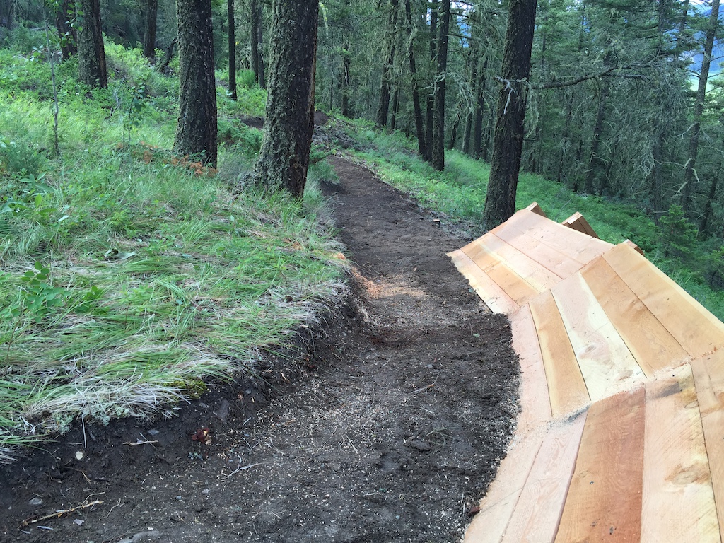 Wooden berm on DH line