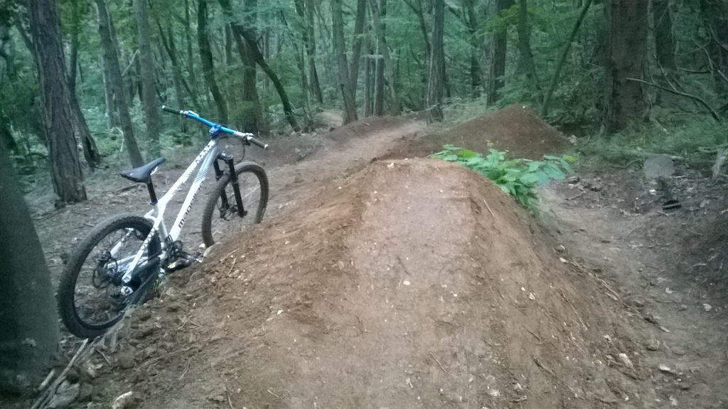 hardtail bike + our dh/freeride track