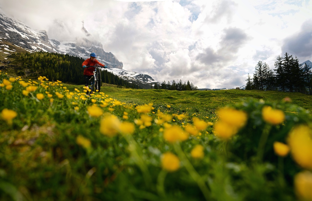 Manualing through a meadow of endless yellow and green with the Eiger north face shrouded in clouds in the background.