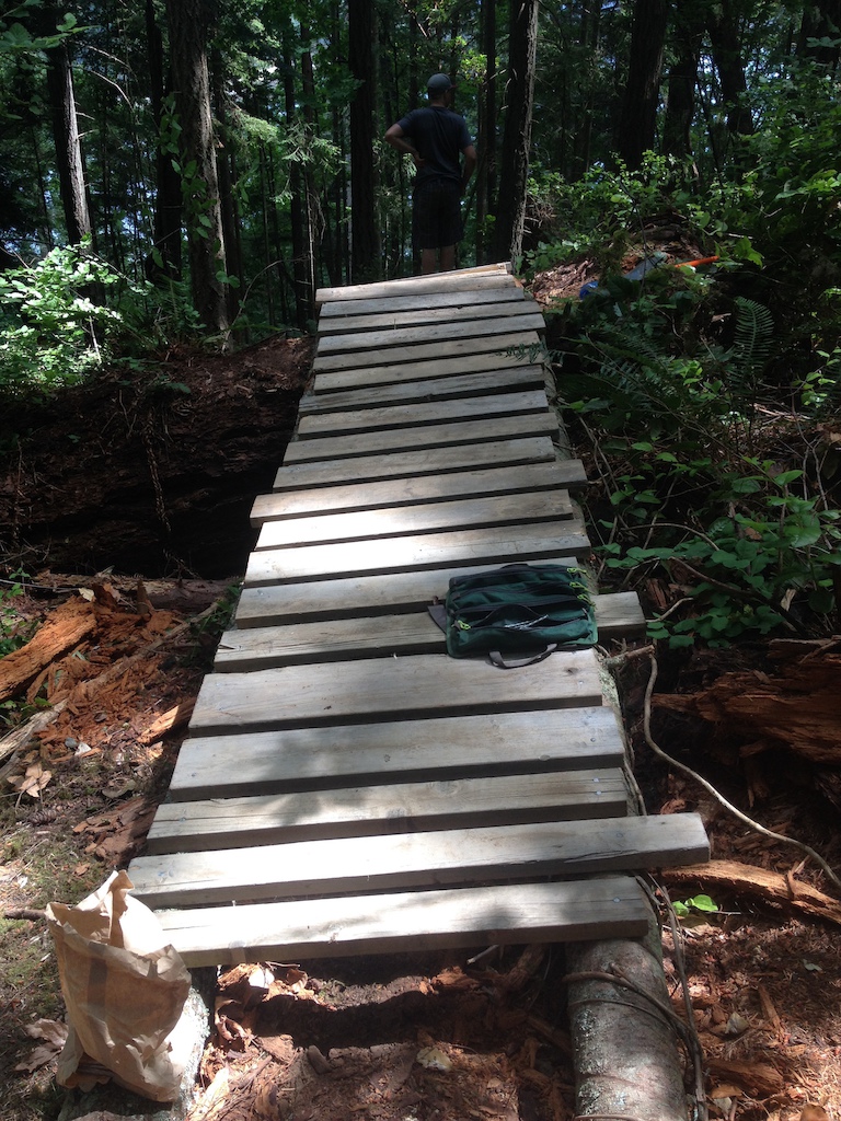 Almost done the bridge on our dh trail